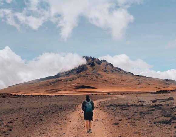 7 Days Lemosho Route Climb Kilimanjaro